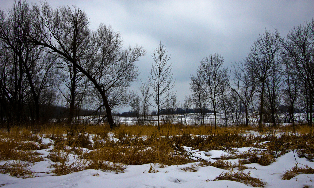 Sakatah Lake State Park