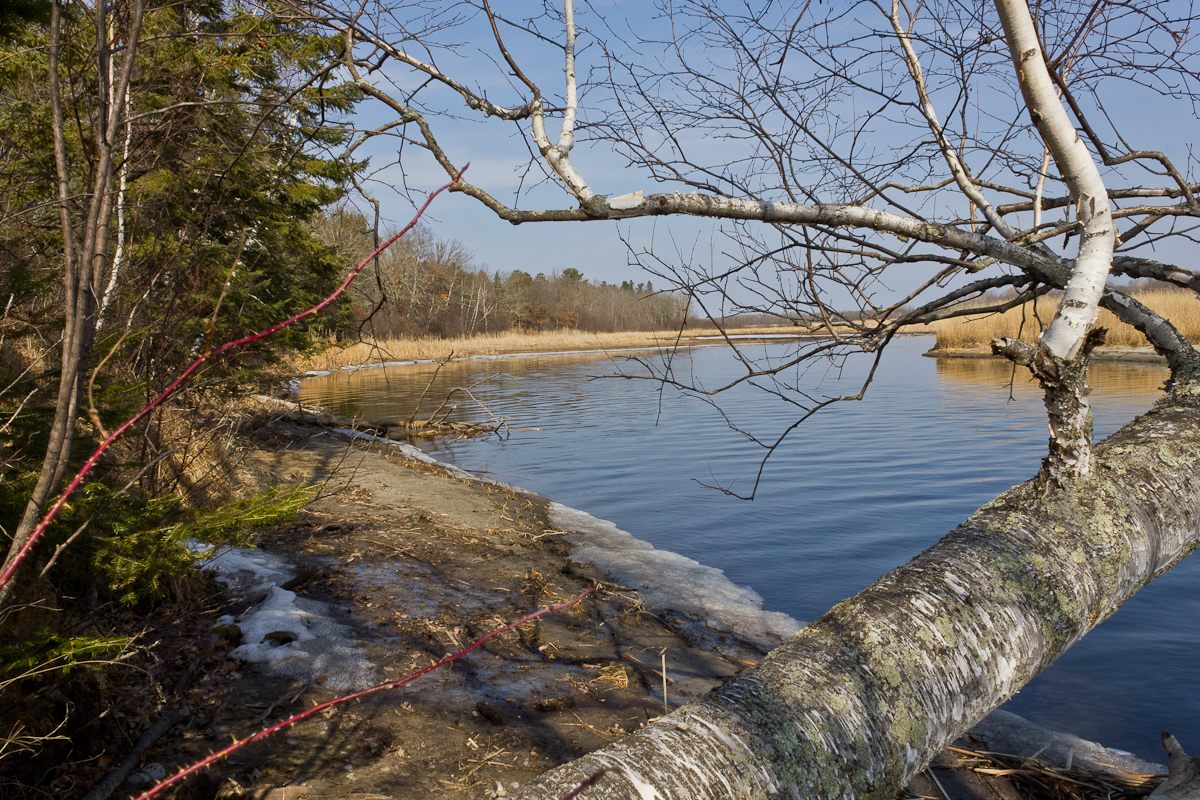 Schoolcraft State Park