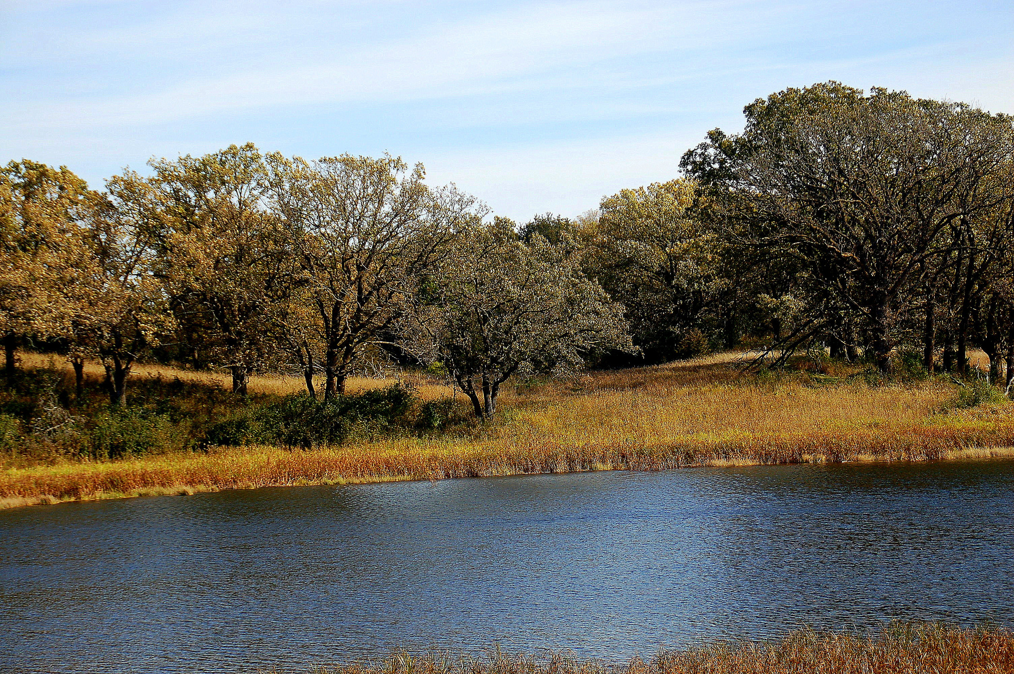 Oakridge Campground