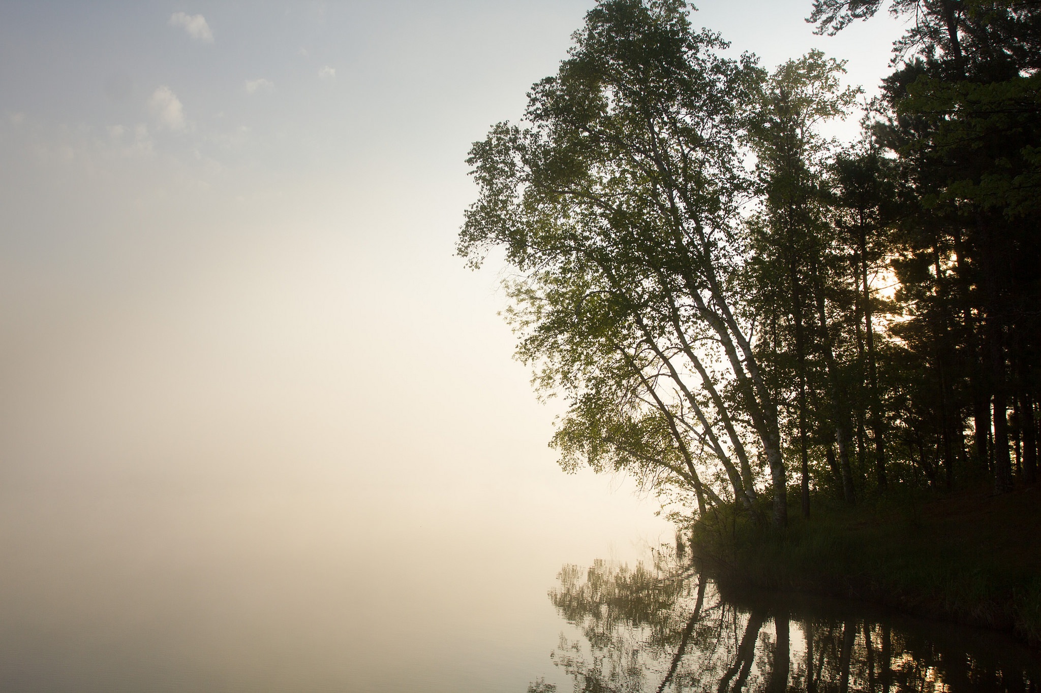Two Inlets State Forest