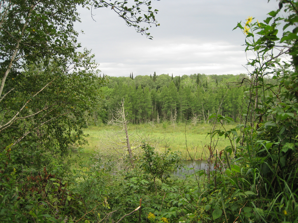 Star Island Trail