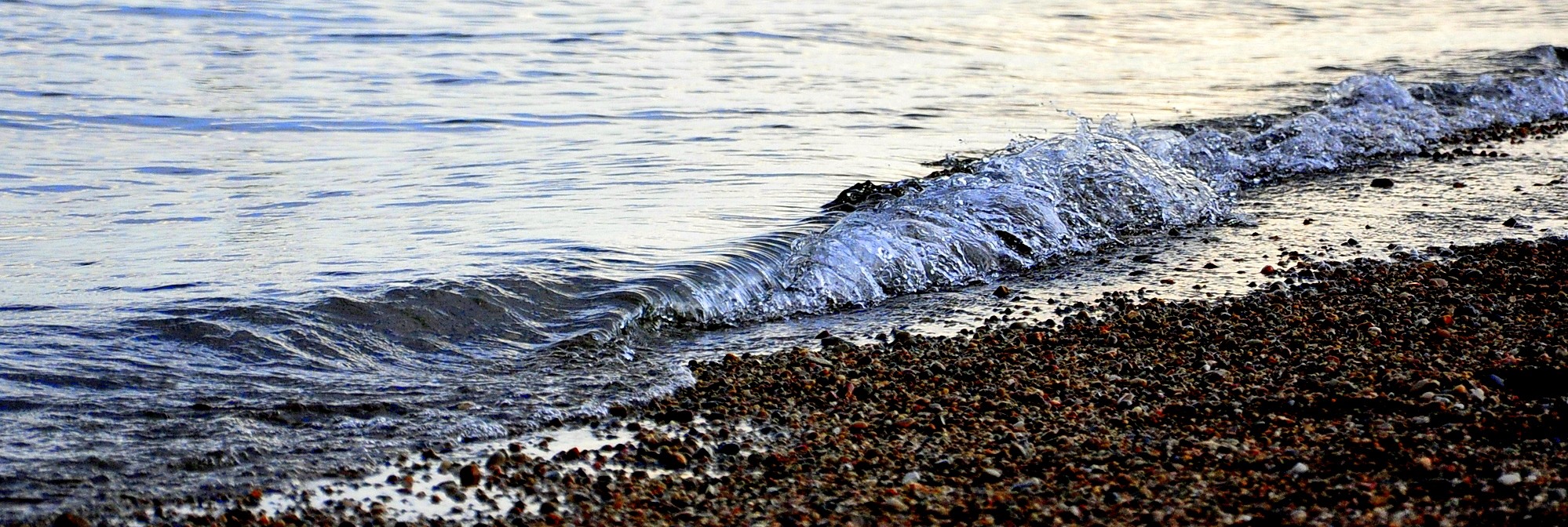 Adeline Jay Geo-Karis Illinois Beach State Park