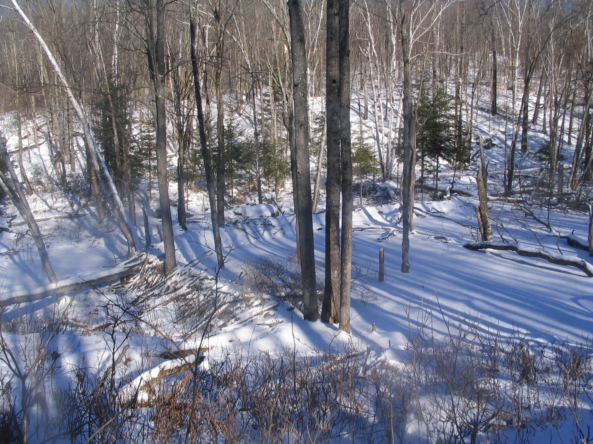 Beaver Dam State Park