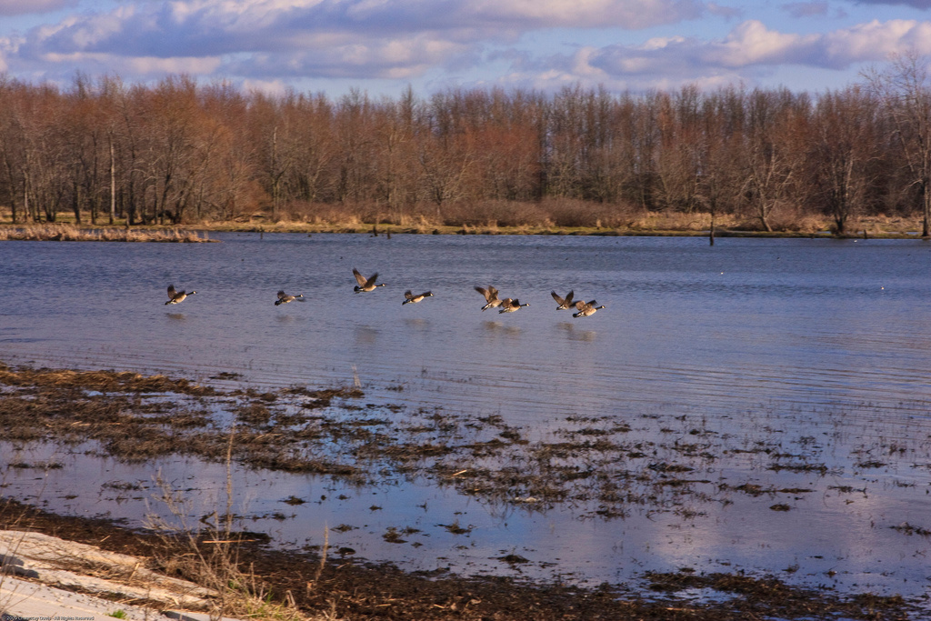 Clinton Lake State Recreation Area