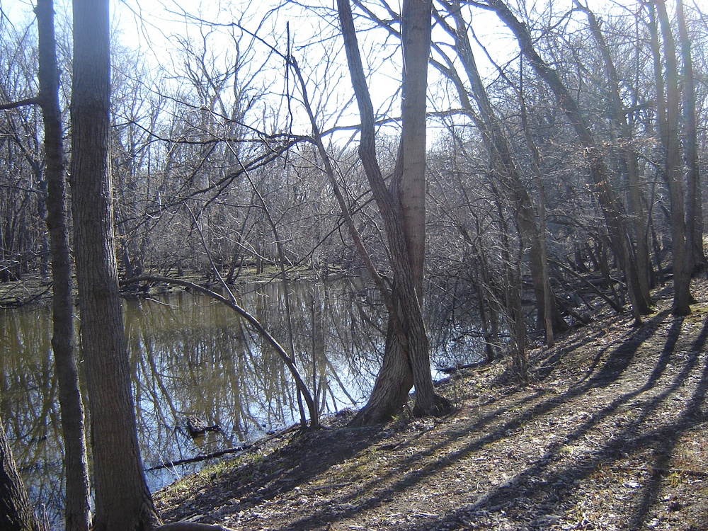 Des Plaines State Fish & Wildlife Area