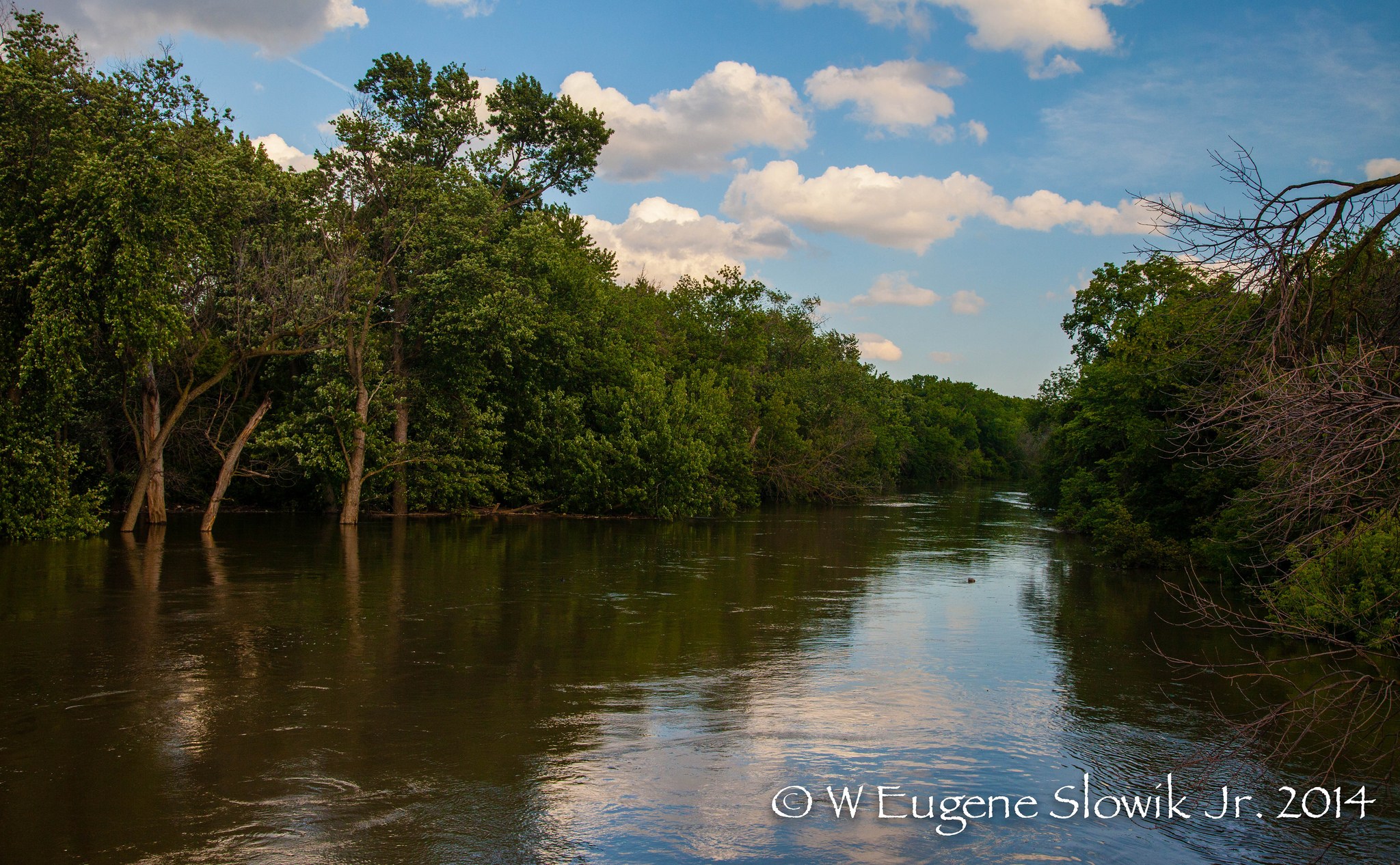 Des Plaines State Fish & Wildlife Area