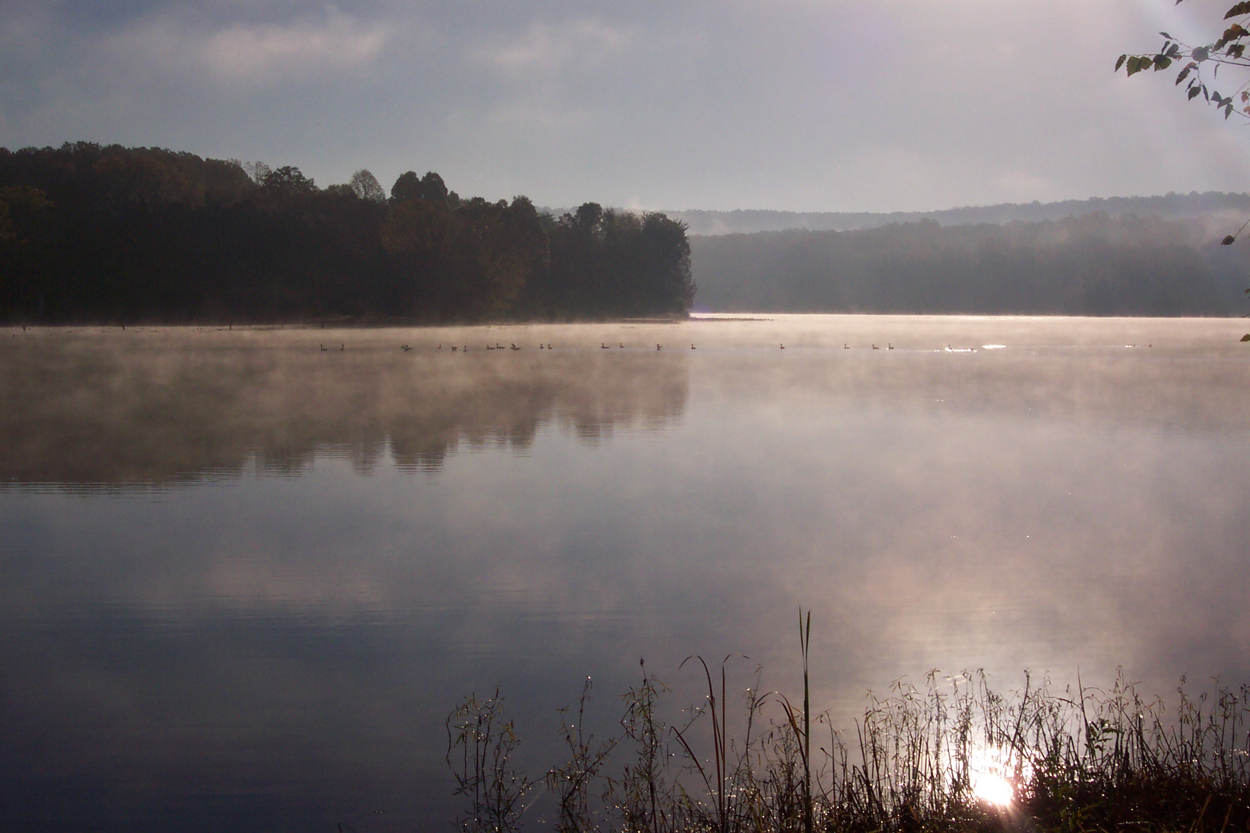 Dixon Springs State Park