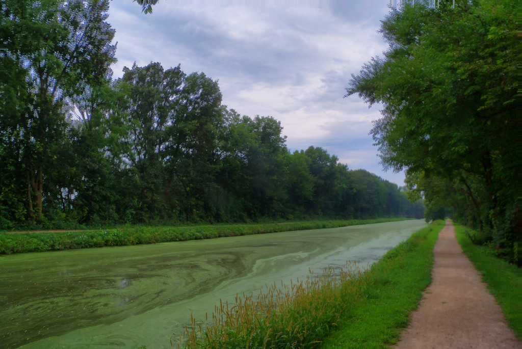 Gebhard Woods State Park