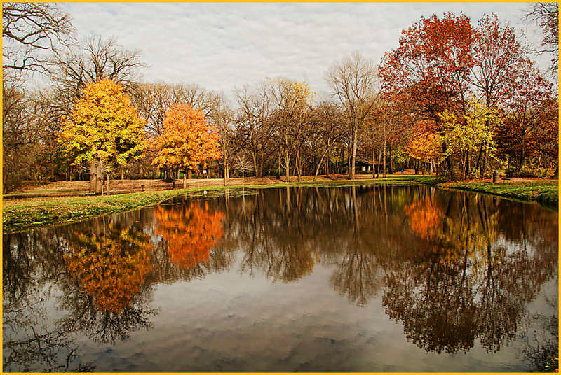 Gebhard Woods State Park