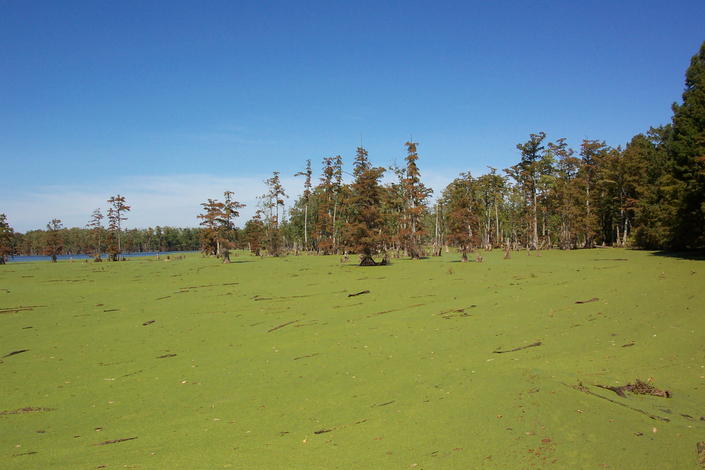 Horseshoe Lake State Park