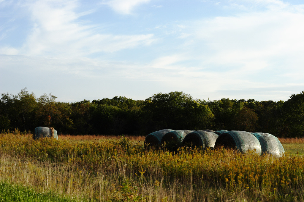 Jim Edgar Panther Creek State Fish & Wildlife Area