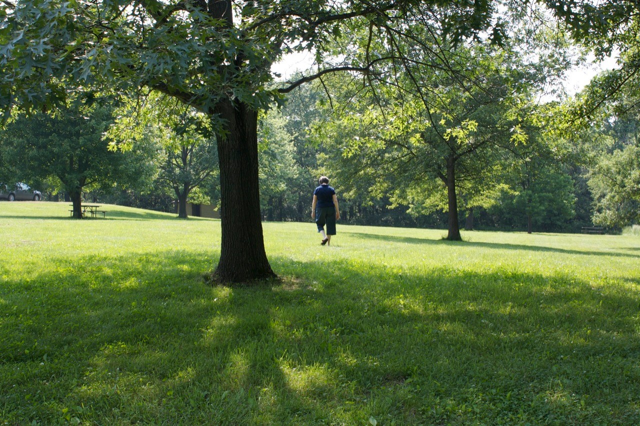 Jubilee College State Park