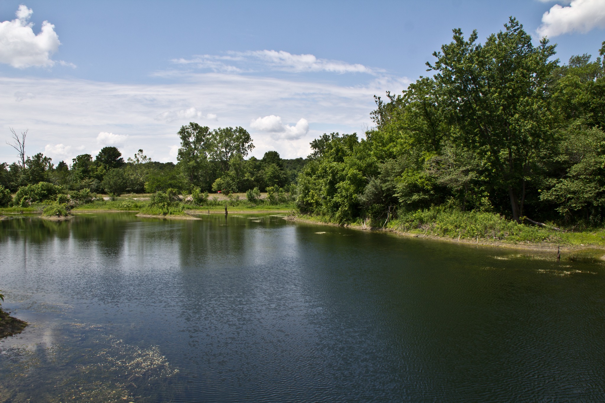 Brian Plawer Campground