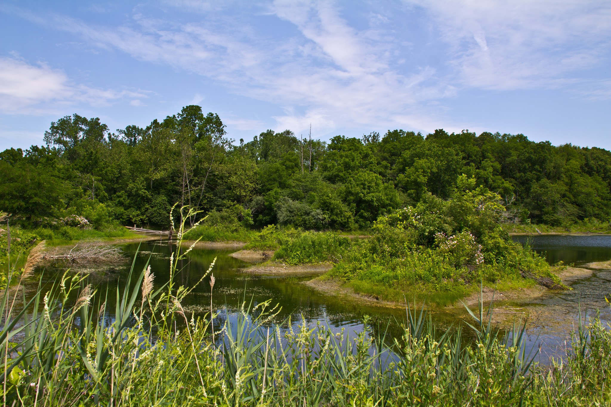 Kickapoo State Recreation Area