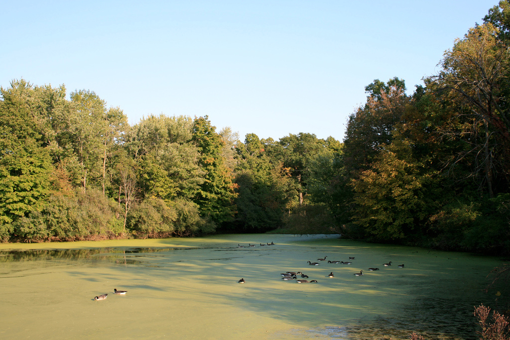 Moraine View State Recreation Area