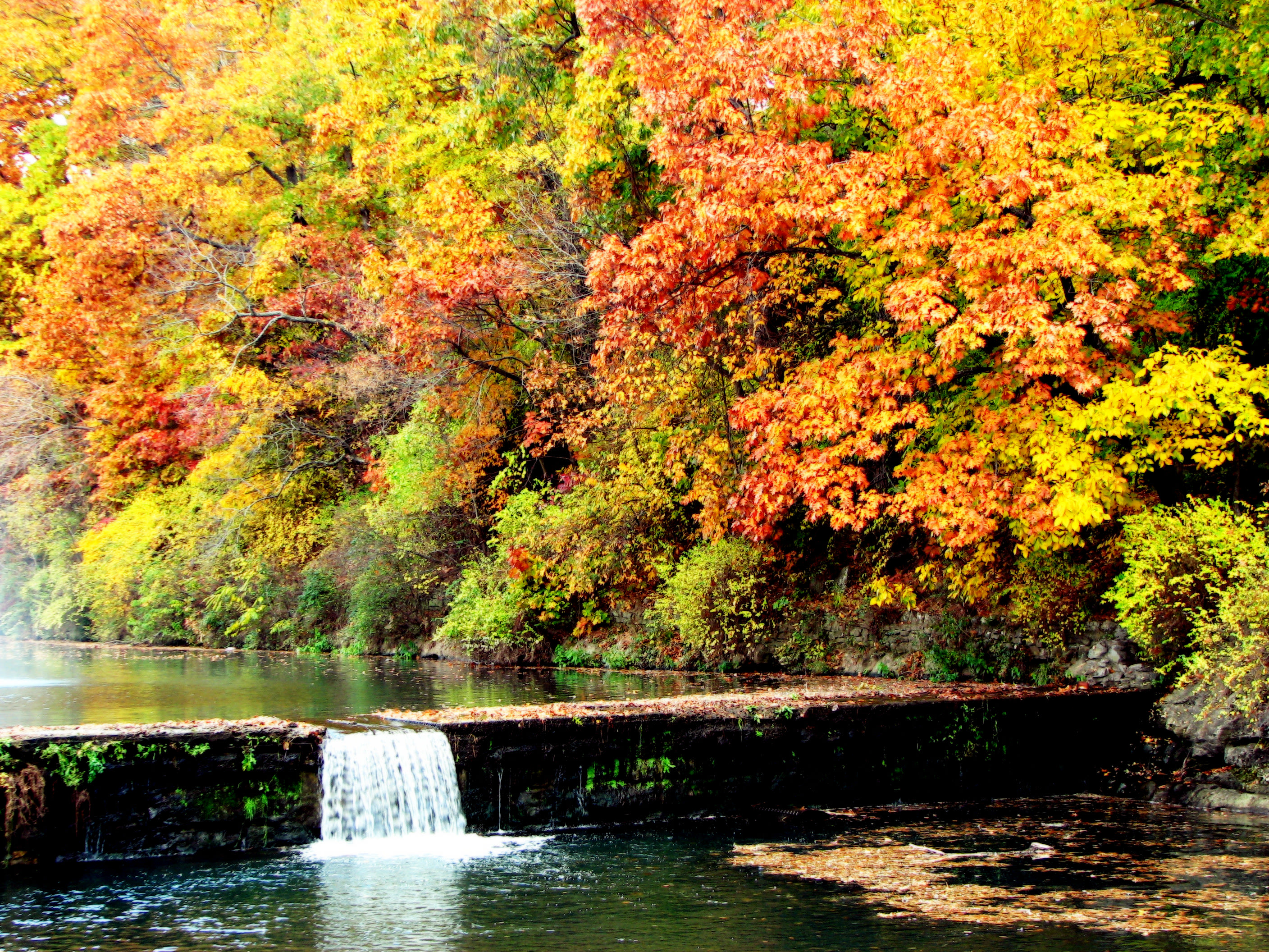 Siloam Springs State Park
