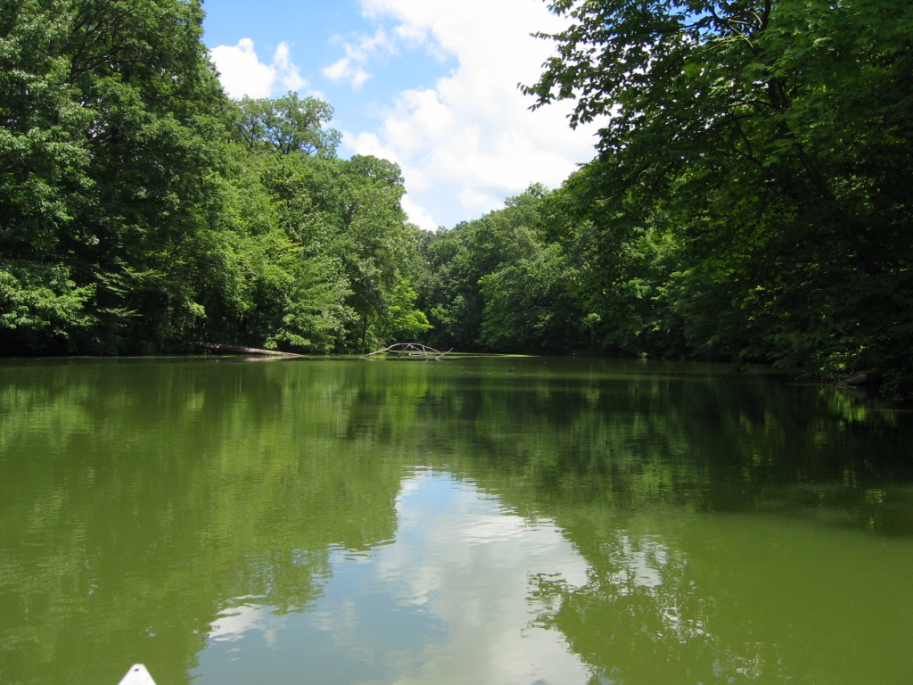 Walnut Point Campground
