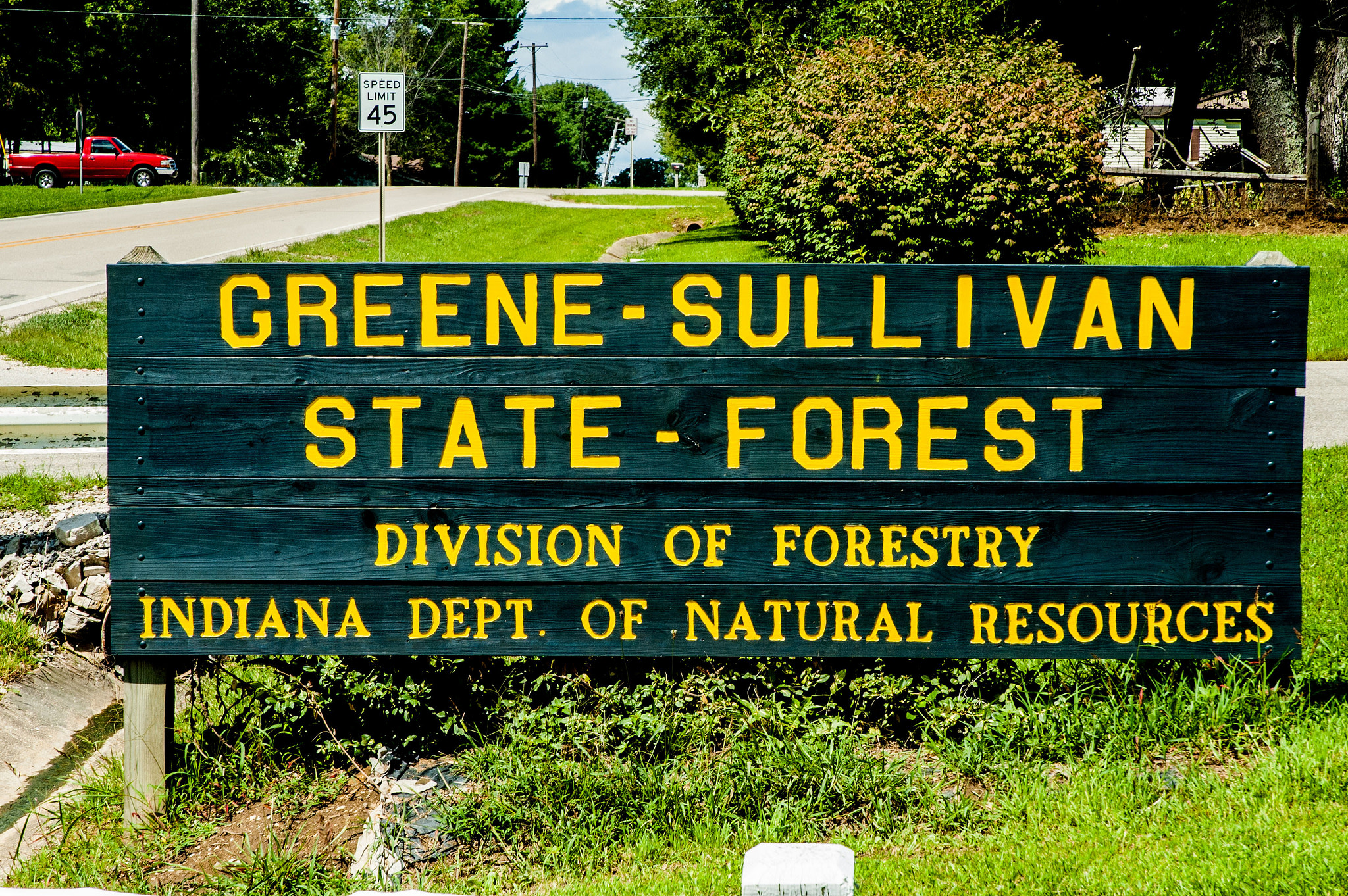 Greene-Sullivan State Forest