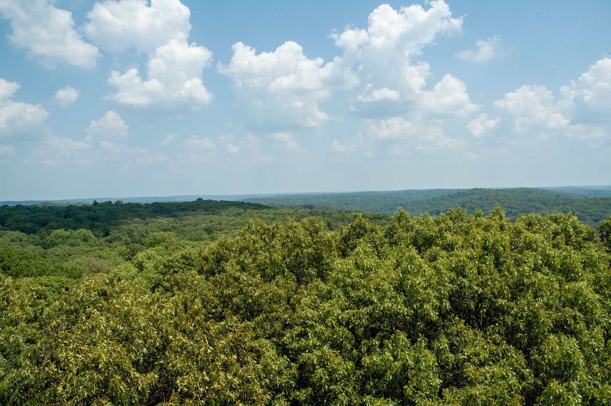 Martin Campground