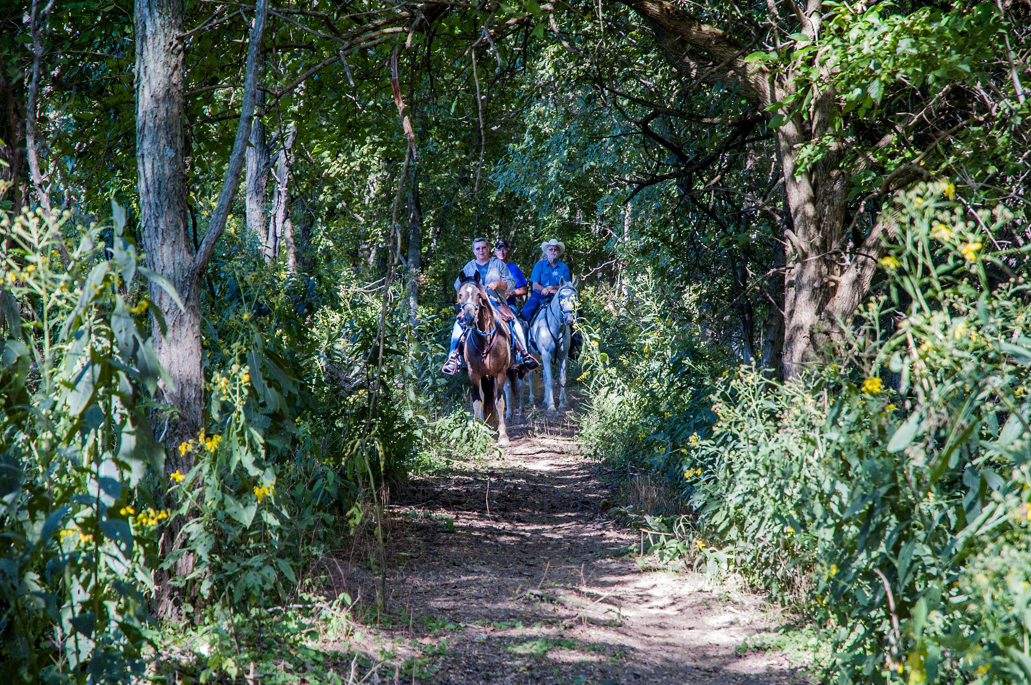 O'Bannon Woods State Park