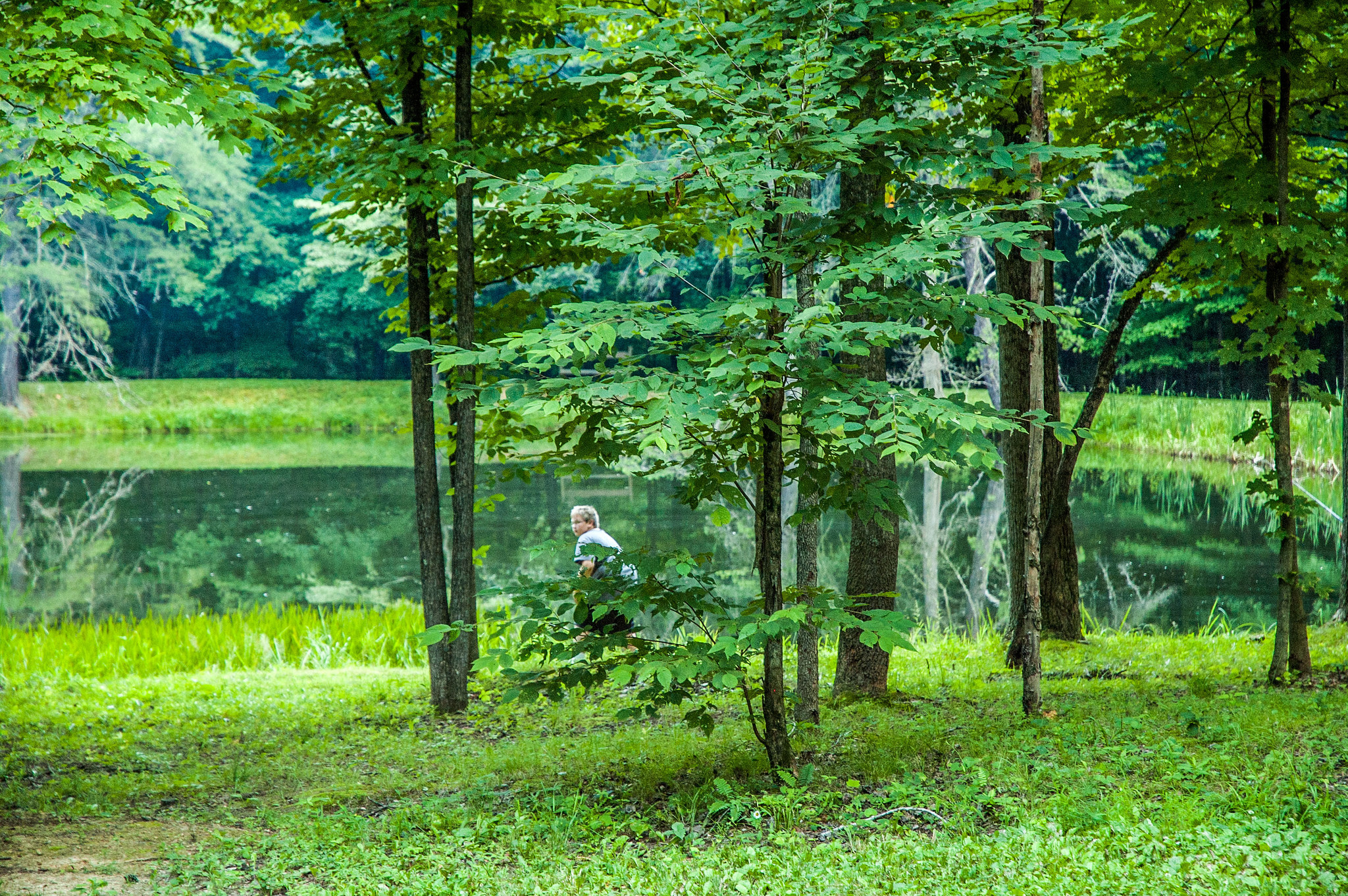 Owen-Putnam State Forest