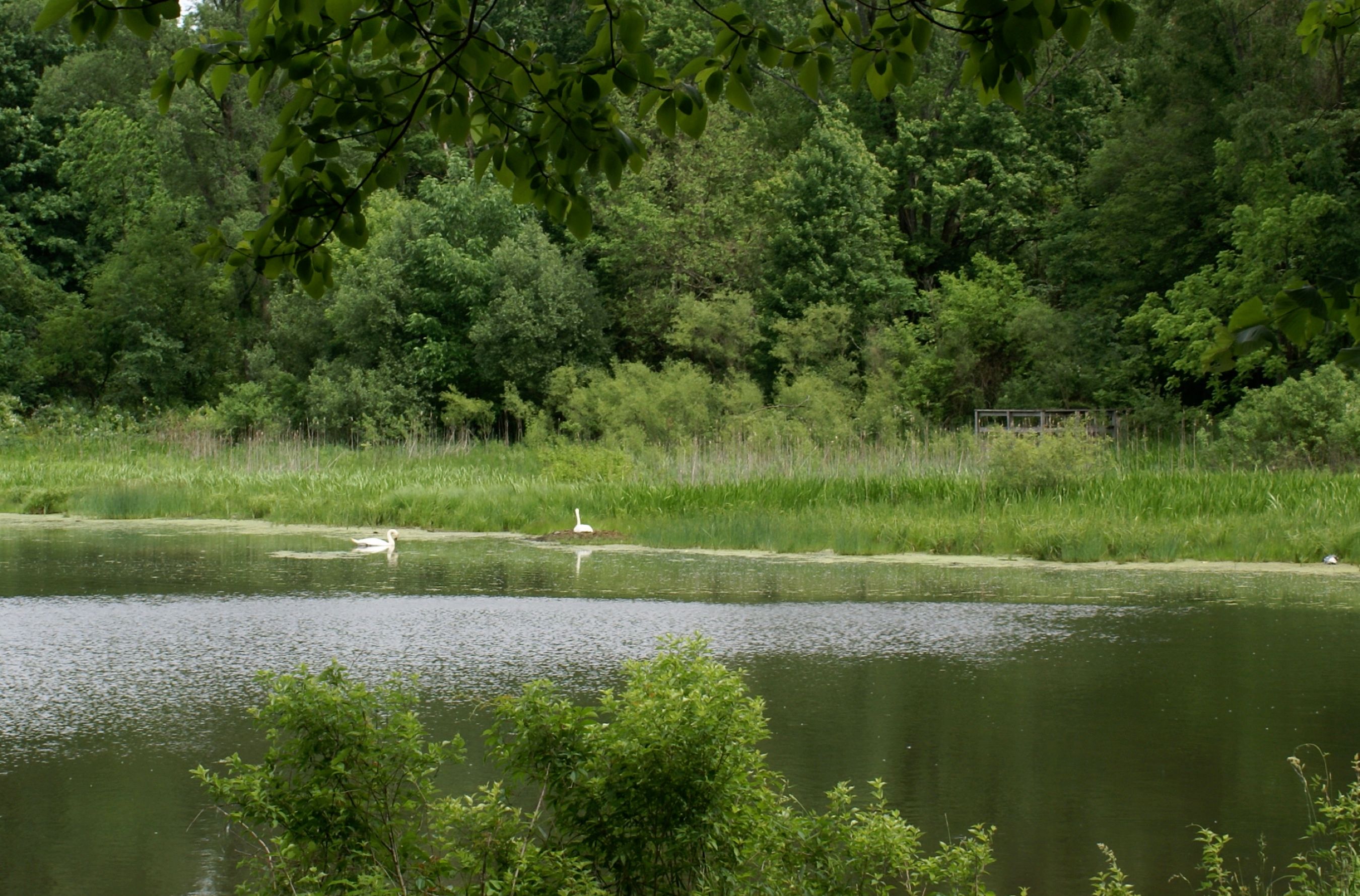 Potato Creek State Park