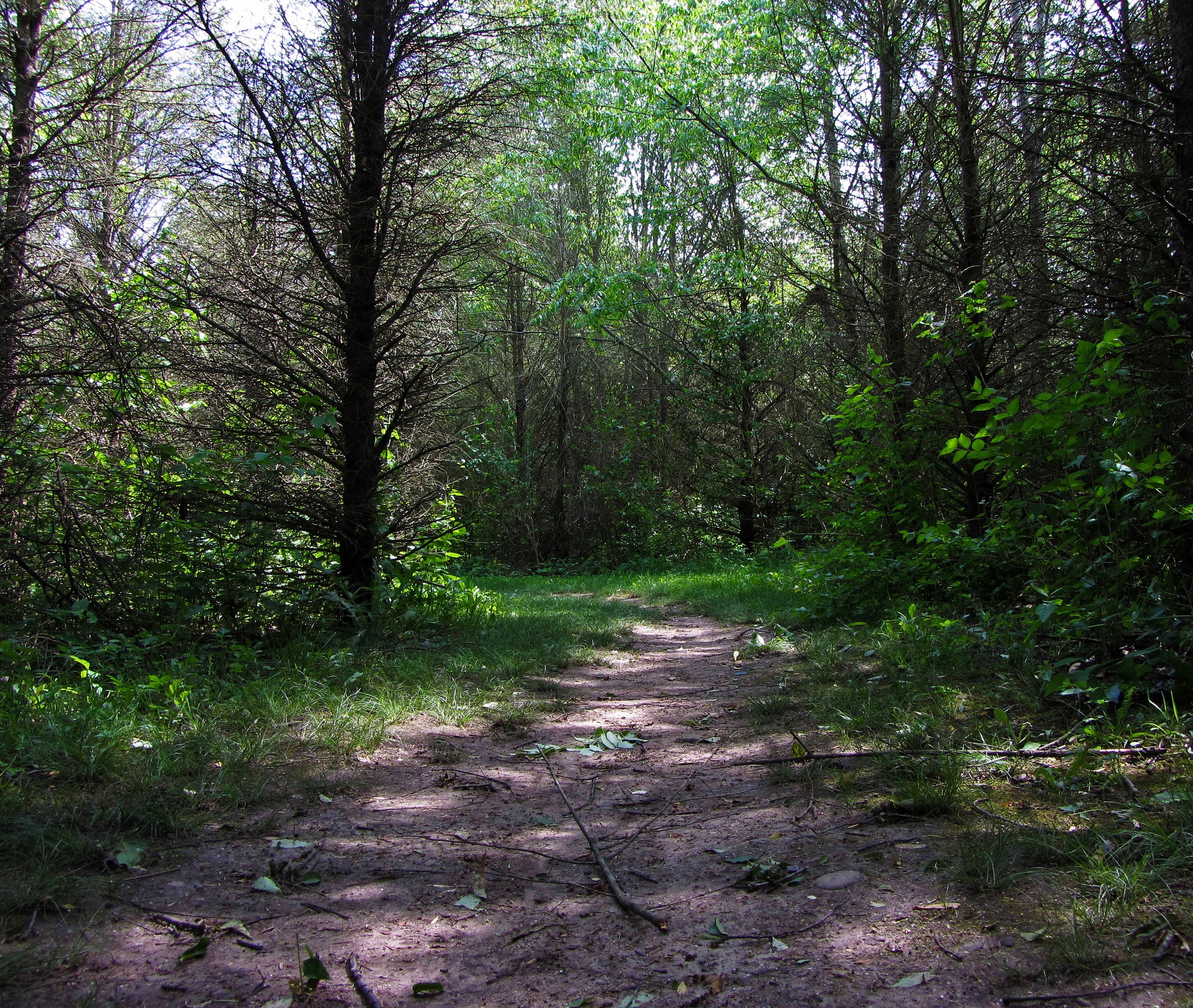 Prophetstown Campground