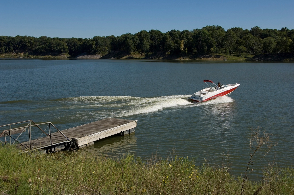 Salamonie River State Forest