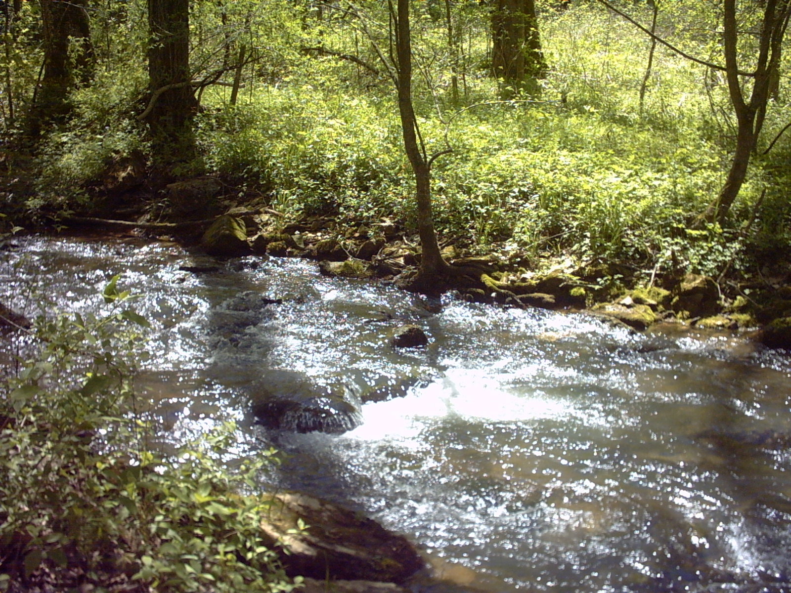 Spring Mill State Park
