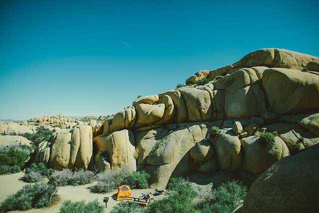 Great views from up top! 