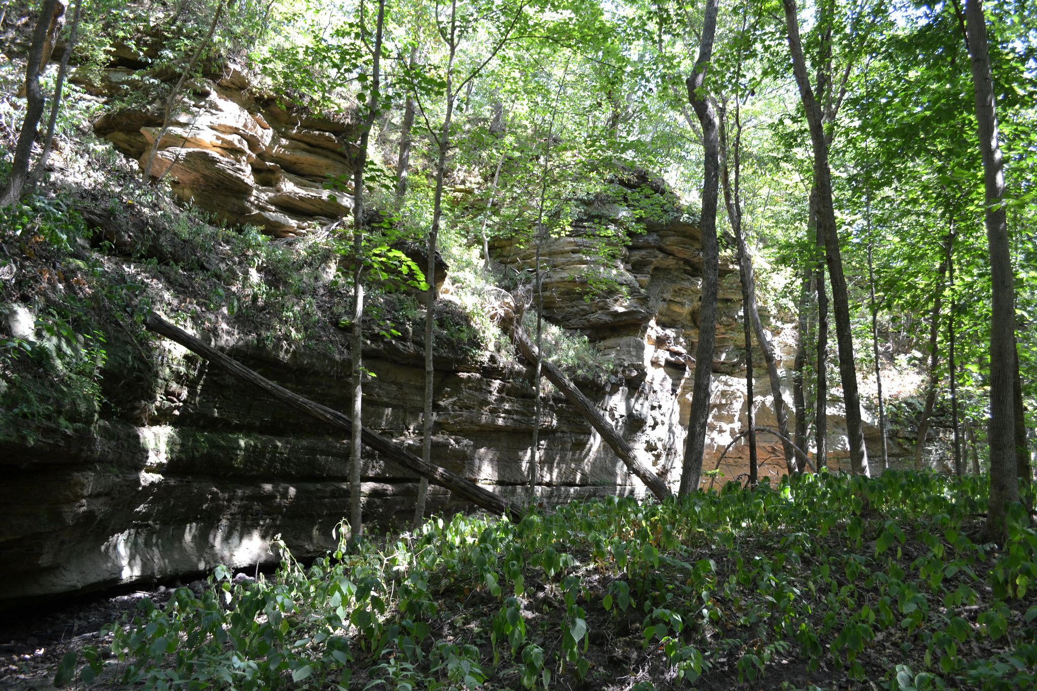 Dolliver Memorial State Park