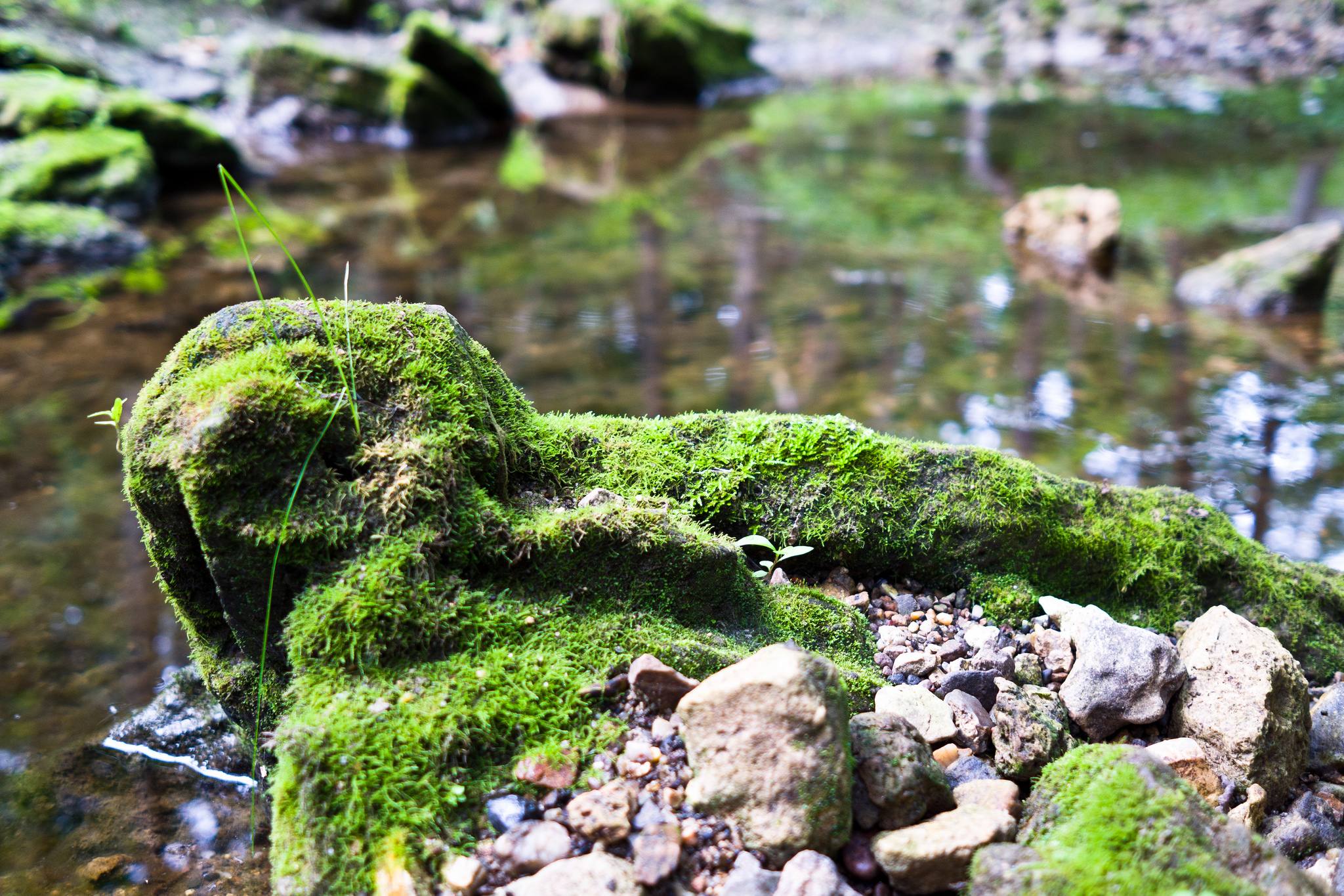 Maquoketa Caves Campground