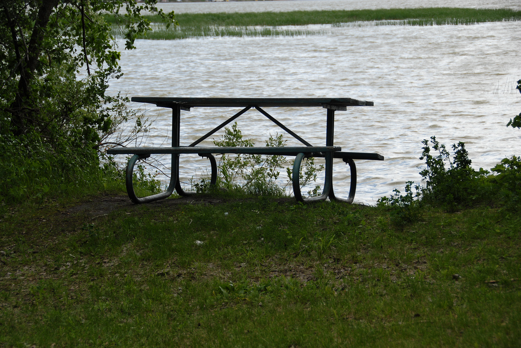 McIntosh Woods Campground