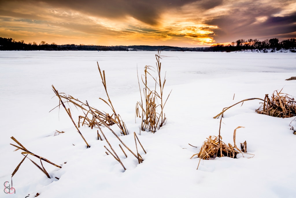 Pleasant Creek State Recreation Area