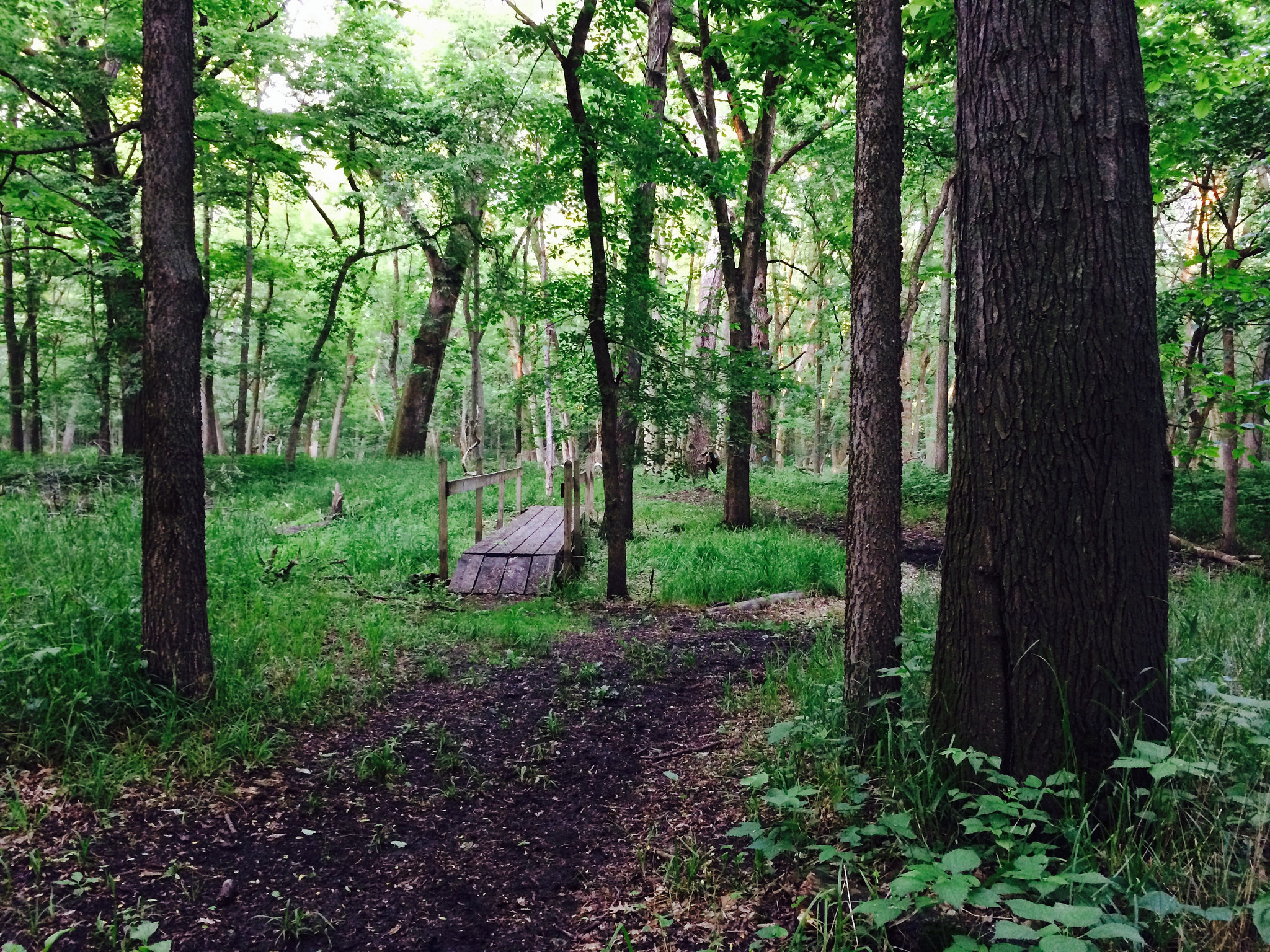 Walnut Woods State Park