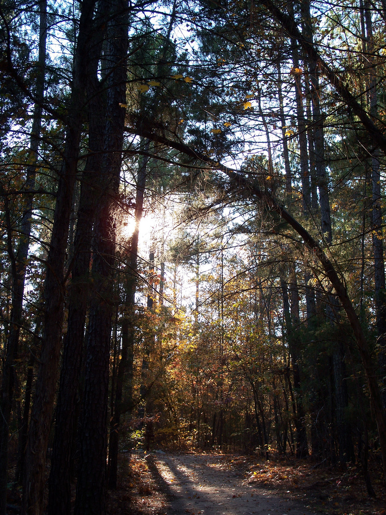 Baker Creek Campground
