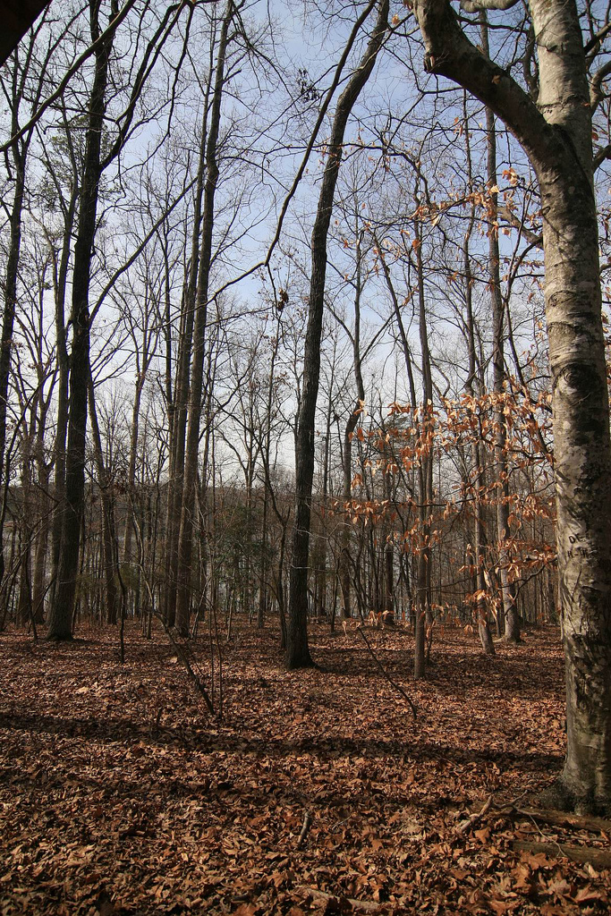 Croft Campground