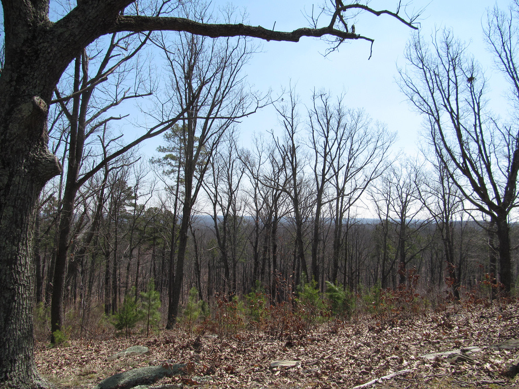 Kings Mountain National Military Park