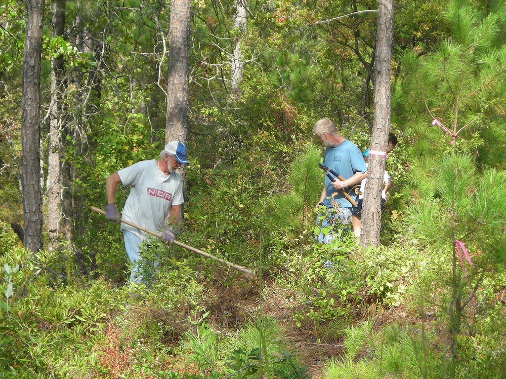 J. Strom Thurmond Dam and Lake Park
