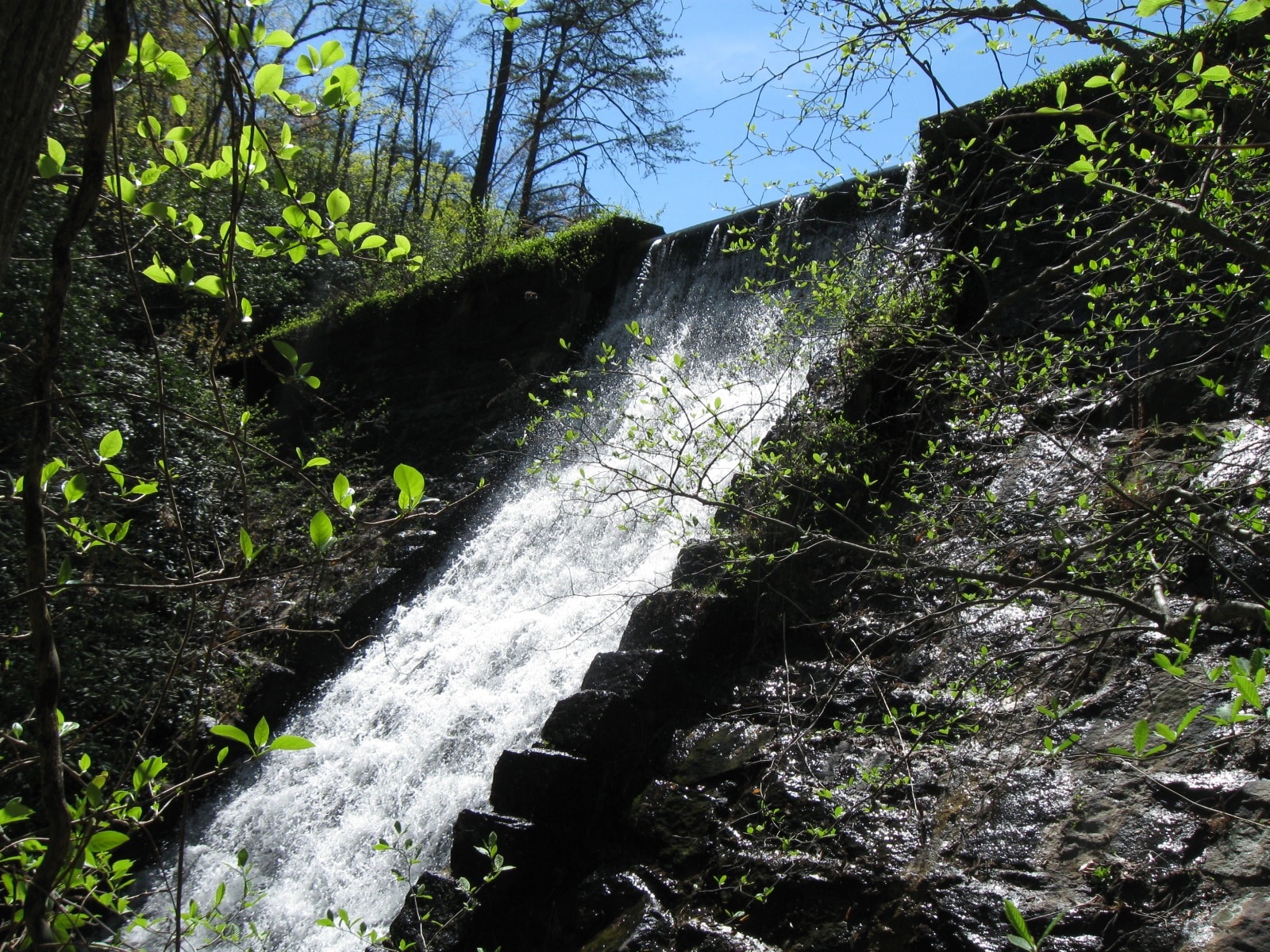 Paris Mountain State Park