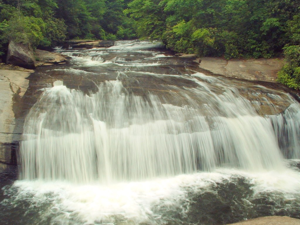 Ellicott Rock Wilderness