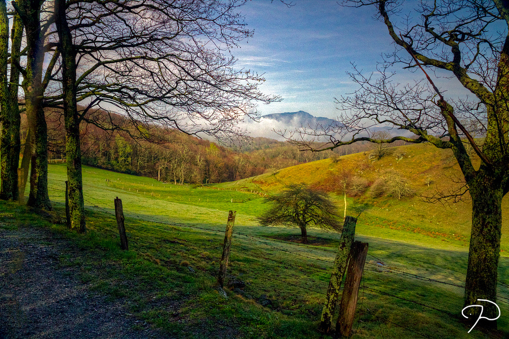 Grandfather Mountain State Park