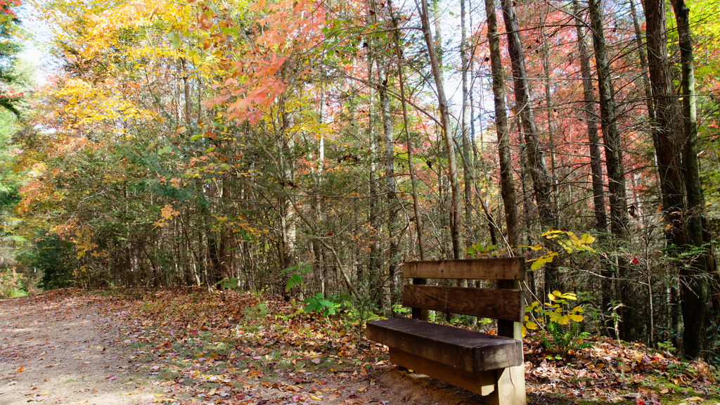 South Mountains State Park