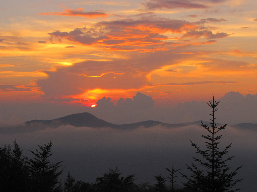Mount Mitchell State Park