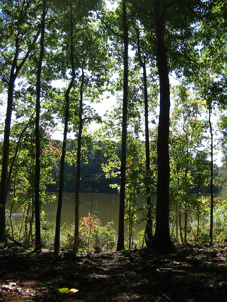 William B Umstead Campground