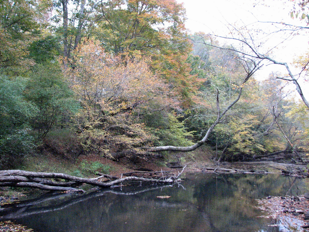 Medoc Mountain State Park