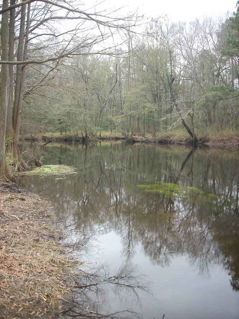 Lumber River State Park