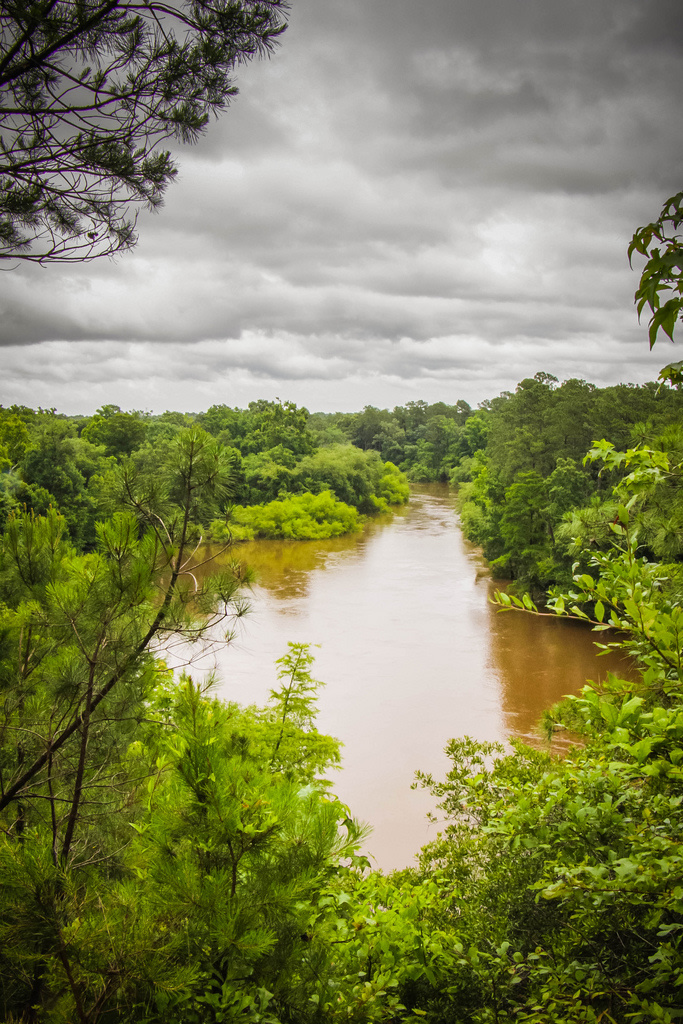 Cliffs of the Neuse State Park