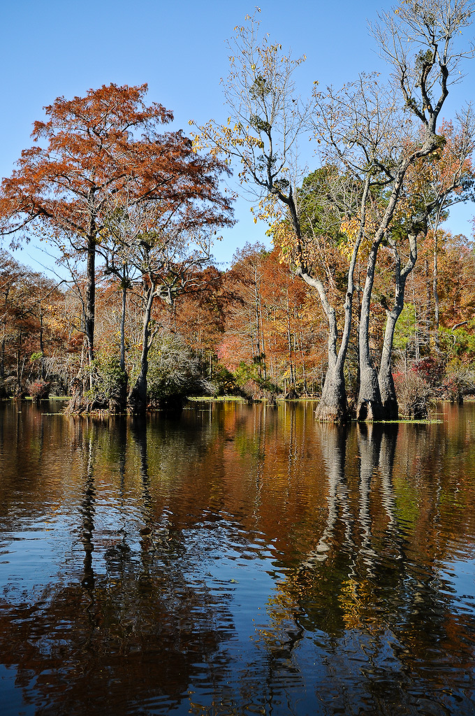 Merchants Millpond Campground
