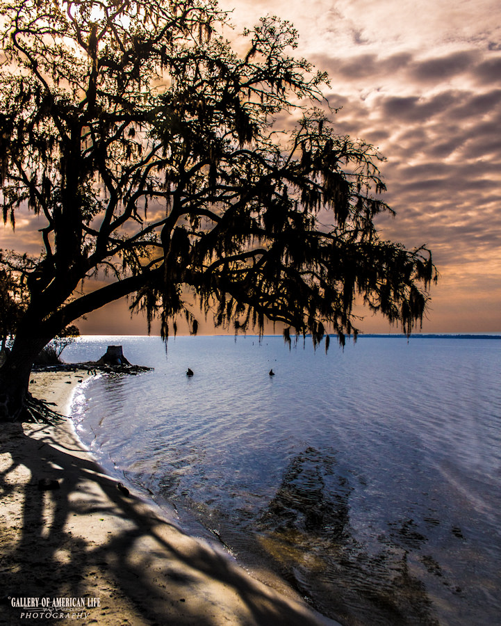 Goose Creek Campground